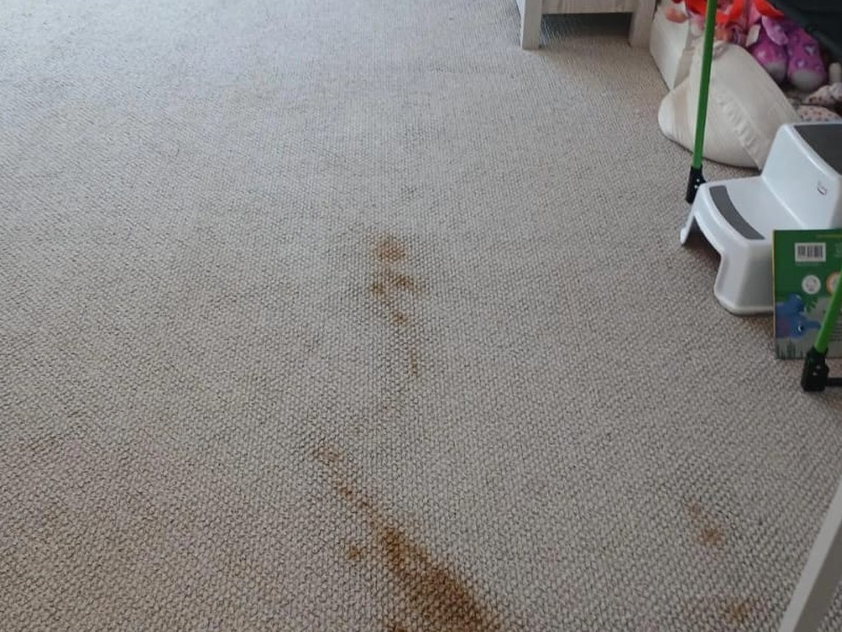 Beige carpet with a visible brown stain before steam extraction