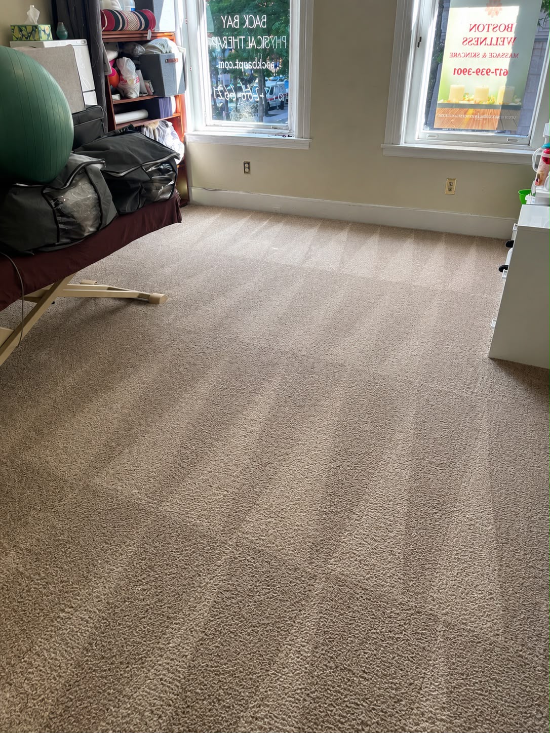 Beige carpet with a crisp fan-pattern extraction finish after Nova Steam's steam cleaning