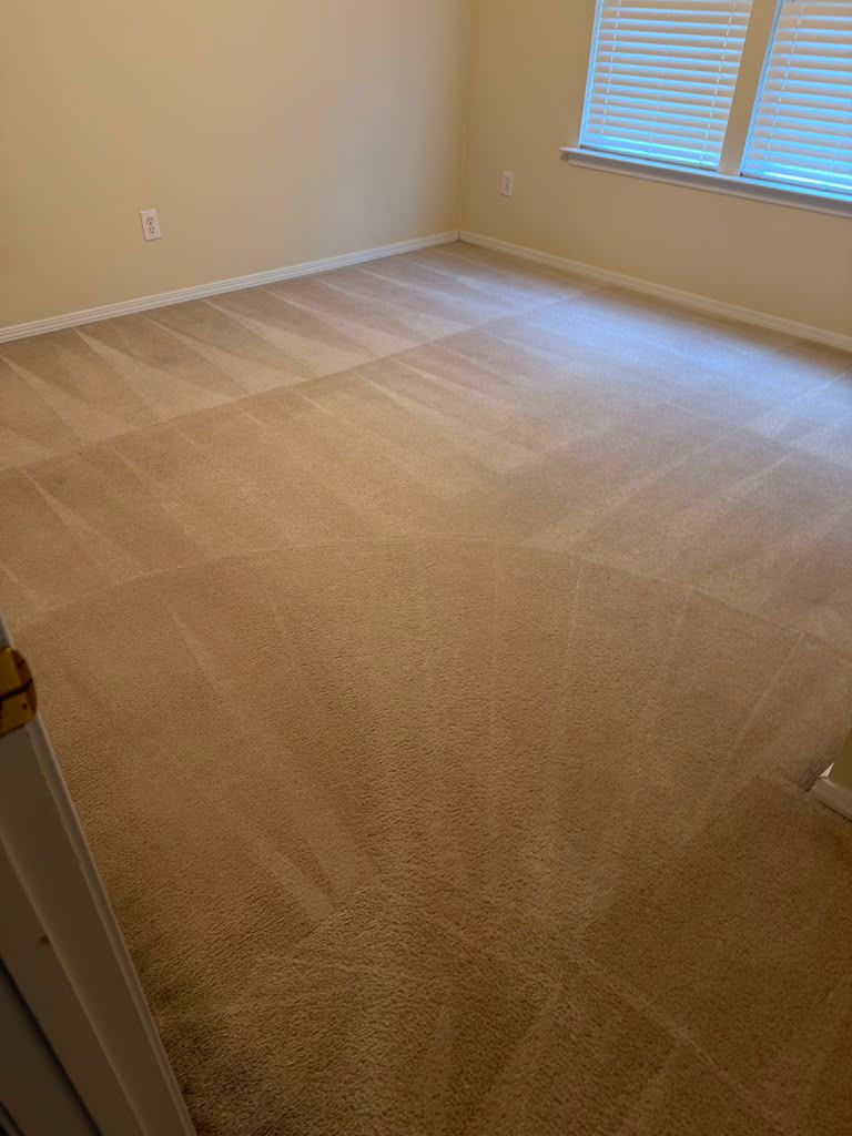 A sunlit bedroom with freshly extracted carpet showing crisp corner-to-corner fan lines